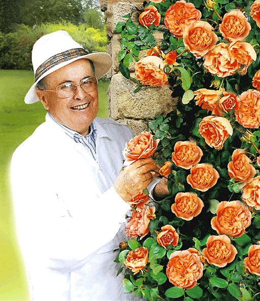 Set Clematis 'The President' & Klimroos 'Papi Delbard®' 5 Set Clematis 'The President' & Klimroos 'Papi Delbard®' - Afbeelding 3