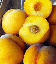 Perzik-Abrikoos 'Honeymoon' 4 Perzik-Abrikoos 'Honeymoon' - Afbeelding 2