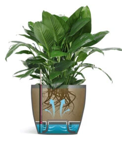 Emsa® Bloempot Casa Brilliant ø 28 Cm 'wit' -Planten Verkoopwinkel 8901669683230