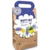 Bloembollen Collectie 'Happy Bee' Blauw -Planten Verkoopwinkel 8901958729758