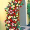 Klimrozen Collectie -Planten Verkoopwinkel 8901997723678