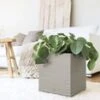 EMSA® CASA COSY Kubus 30x30x31 Cm 'zijdegrijs' 2 EMSA® CASA COSY Kubus 30x30x31 Cm 'zijdegrijs' -Planten Verkoopwinkel 8920759828510
