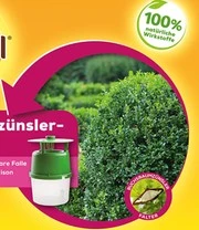 Solabiol® Buxusmot Val 4 Solabiol® Buxusmot Val - Afbeelding 2