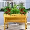 VEGTRUG 'Verhoogde Houten Kweekbak' -Planten Verkoopwinkel 8970159456286