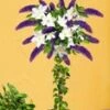 Buddleia Stammetje Met Clematis -Planten Verkoopwinkel 8973641613342