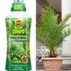 COMPO® SANA® Meststof Voor Palmen & Canarische Dadelpalm Ca. 60-70 Cm Hoog -Planten Verkoopwinkel 8976350773278