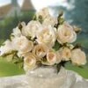 Parfumroos 'Grand Nord®' -Planten Verkoopwinkel 8989298851870