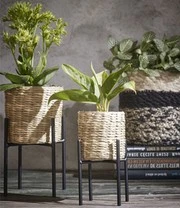 Planten Verkoopwinkel 4 Planten Verkoopwinkel -Planten Verkoopwinkel 8990457266206