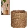 Kokos Sierpot 'natuur' ø20 Cm Met Kunststof Inzetstuk -Planten Verkoopwinkel 8992662814750