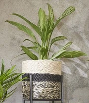 Planten Verkoopwinkel -Planten Verkoopwinkel 8992663470110