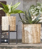 Planten Verkoopwinkel 15 Planten Verkoopwinkel -Planten Verkoopwinkel 8992663896094