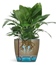 Emsa Bloempot Casa Brilliant ø 28 Cm 'grijs' 5 Emsa Bloempot Casa Brilliant ø 28 Cm 'grijs' - Afbeelding 3