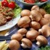 Kastanjechampignons (kweekset) -Planten Verkoopwinkel 9023870435358
