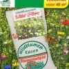 Wilde Bloemen Gras -Planten Verkoopwinkel 9024504758302